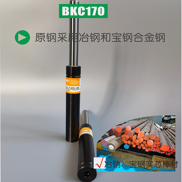 完美介绍BILSTEIN各类型